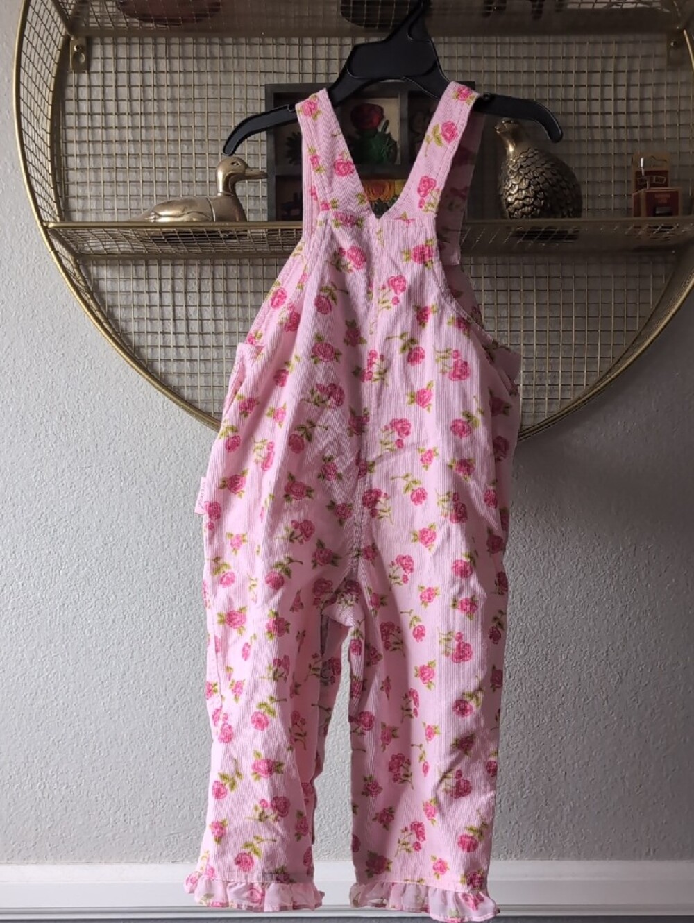 Sesame Street Pink Floral Girls' Overalls, Elmo And Big Bird - Picture 7 of 12